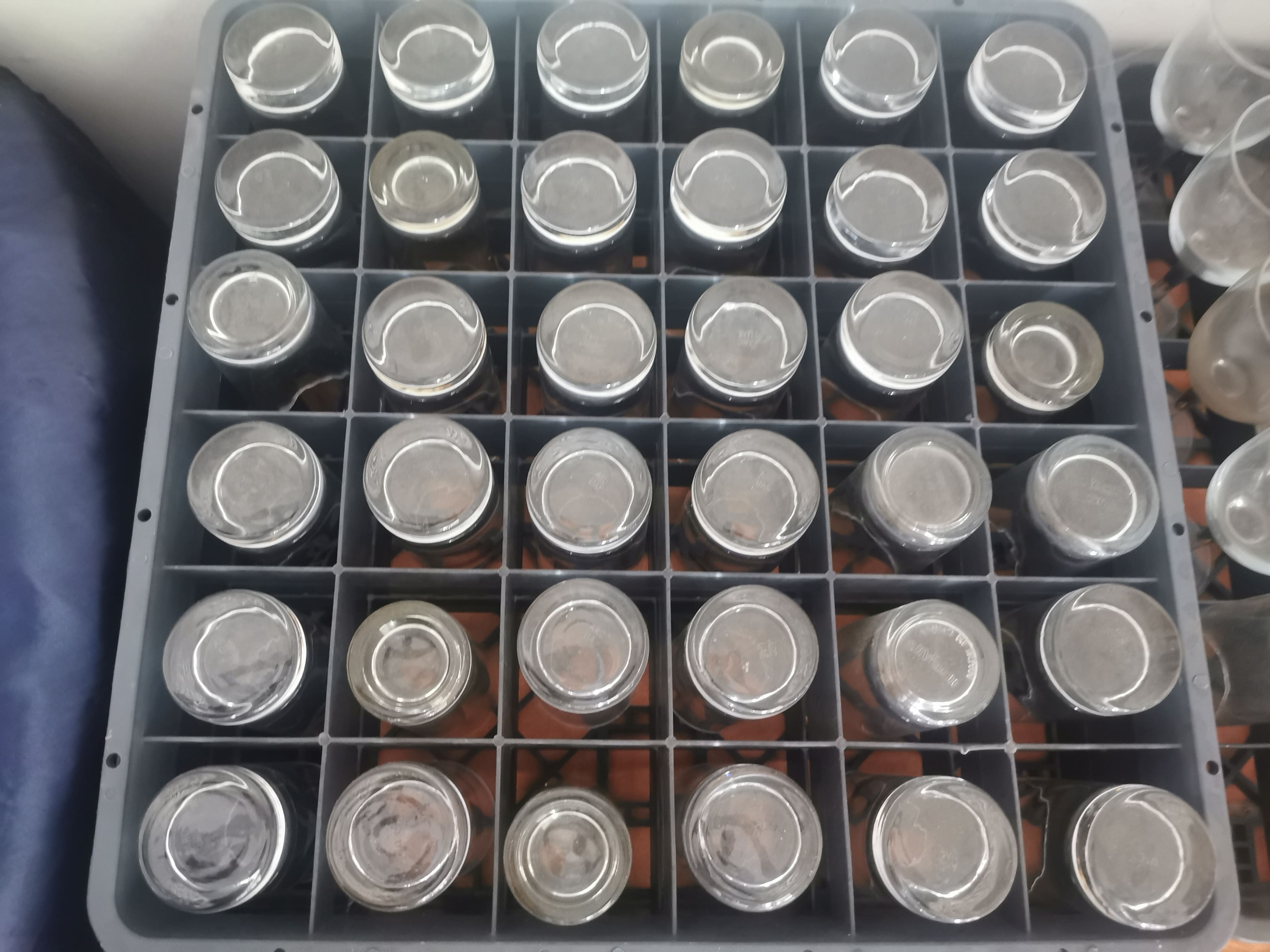 Tray of small clear glass jars/votives